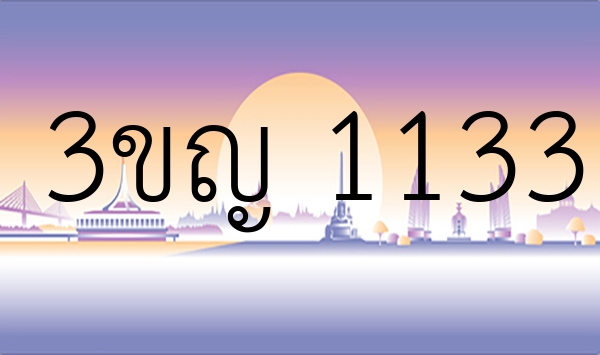 3ขญ 1133